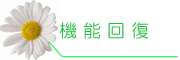 機能修復