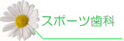 スポーツ歯科