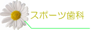 スポーツ歯科